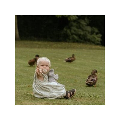 FRIGG 6-Pack Pacifiers - Round Latex - Blooming Love