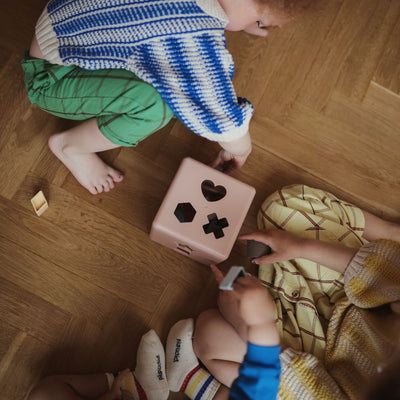 Shape Sorting Box Petal