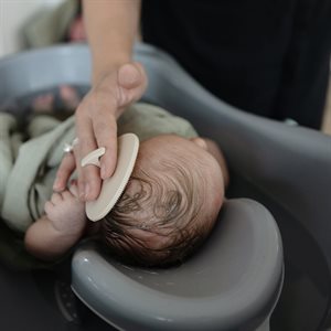 Cradle Cap Brush - Tradewinds / Periwinkle