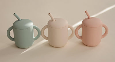 Silicone Training Cup & Straw Blush - Pudgy Fingers